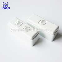 250V 10A architrave switch